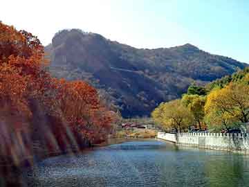 管家婆黑白马报图库，宁波报关行